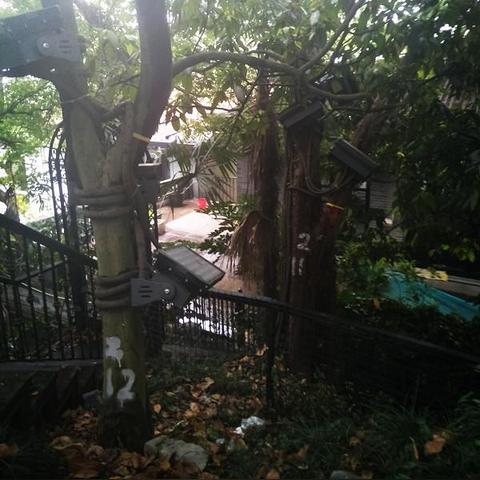 温州市江心双塔的长尾关键词有什么