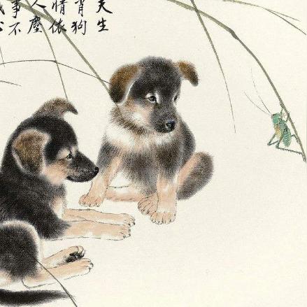 生肖狗在哪年运势最好(属狗的人哪一年运势好)