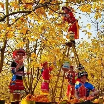 桂林 农庄相关长尾关键词有哪些