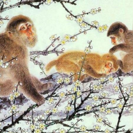 1968生肖猴几月运势好(1968属猴几月命苦)