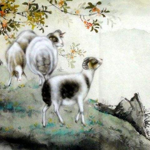 生肖羊运势1967年的羊(1967年羊的运势如何?)