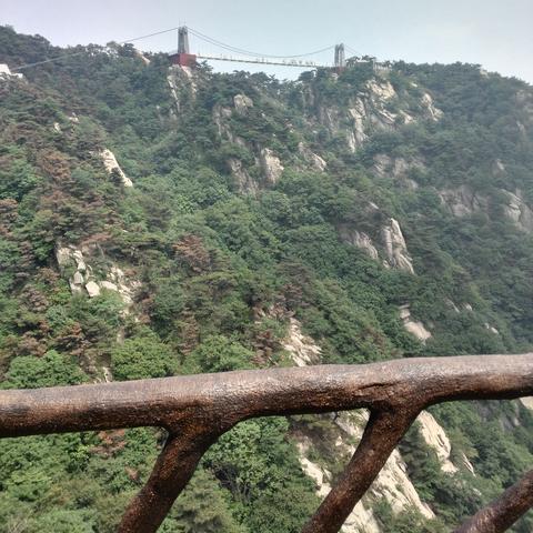 临沂市最高的山在哪里啊