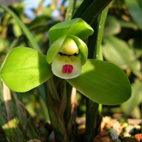 无锡市春兰大厦在哪里