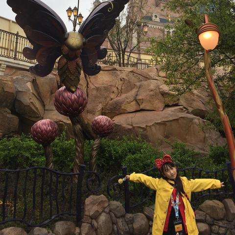 上海迪斯尼卖哪些东西