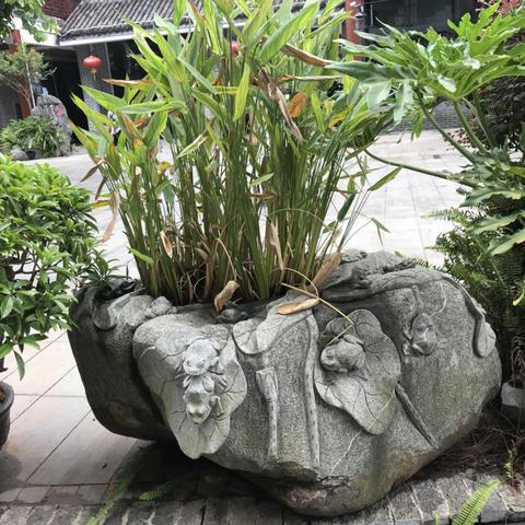 南宁市东方小学怎么样