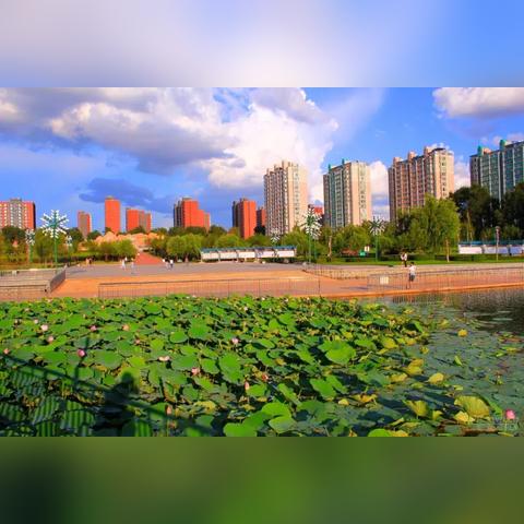 乌龟在长春市哪里能抓到的长尾关键词有哪些