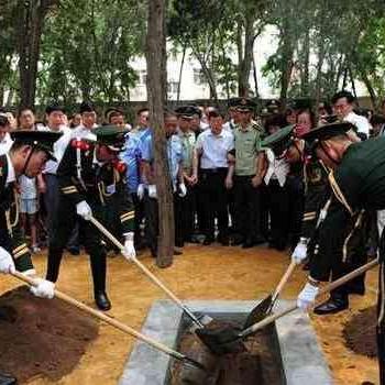 临沂市和沧州市哪个大