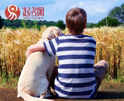 鸡宝宝起名大全男孩安,你看过的众多影视中
