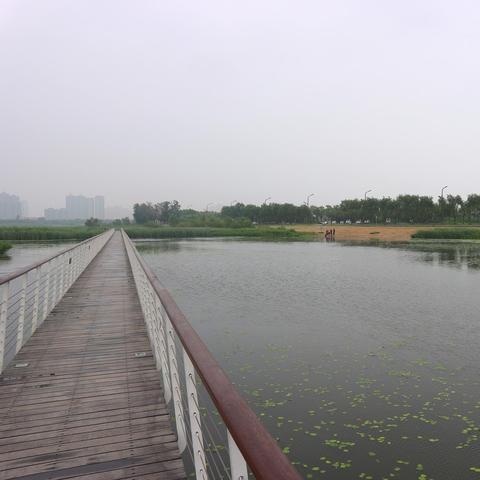 哈尔滨市有哪些大公园名称