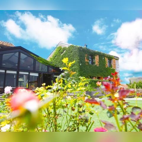 厦门市政路灯多少钱一个