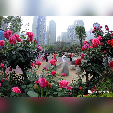 西安市悦享达车队怎么样