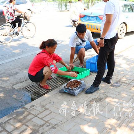 菏泽市金蝉养殖基地的长尾关键词有哪些