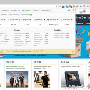 怎么查看自己网站seo