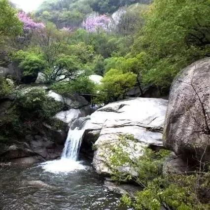 疫情河南帮哪个市