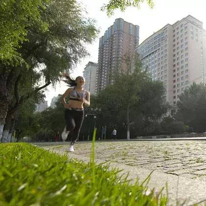 哈尔滨市的哪个区最繁华