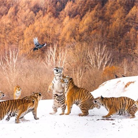 哈尔滨94路公交车路线相关长尾关键词有哪些