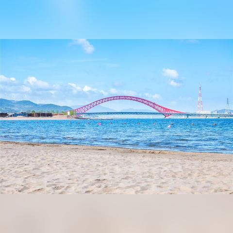 宁波市什么时候放暑假啊