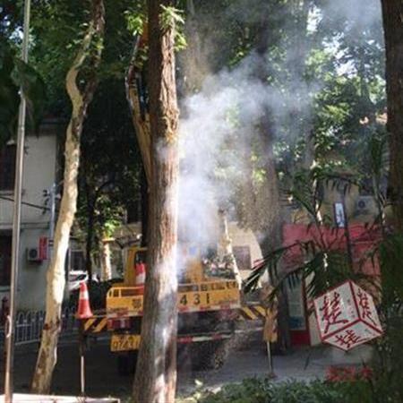 武汉市最近一周的天气的长尾关键词有什么