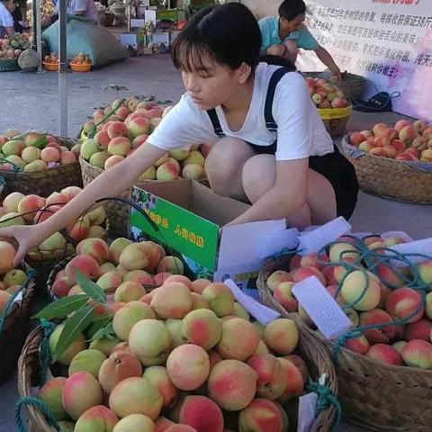 厦门微商推广公司的相关长尾关键词有哪些