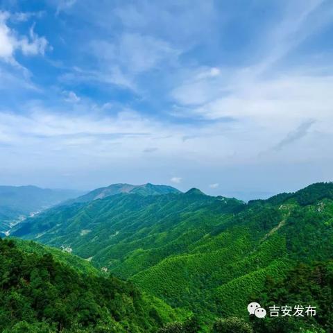 成都市植物园避暑房价格的长尾关键词有什么