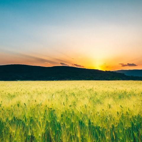 临沂市汪沟镇在哪里