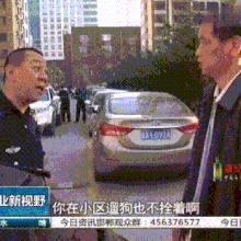 石家庄市养狗种类的长尾关键词有哪些