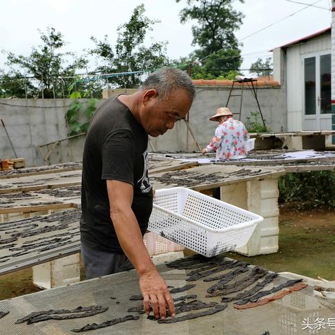 温州市哪里多工厂