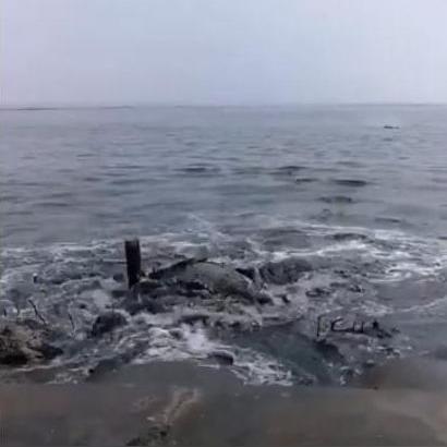 大连金石滩管委会的长尾关键词有什么