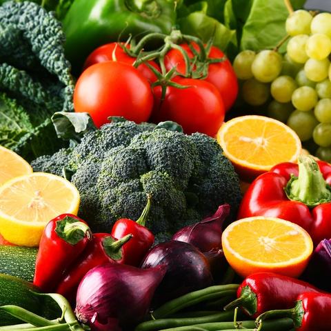 保定市储存库厂家有哪些