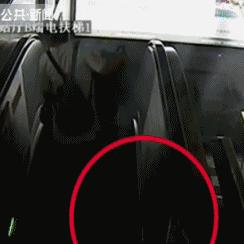 无锡市哪里有熊舍