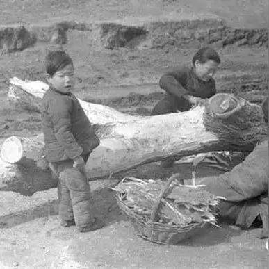 郭德纲 河南话的相关长尾关键词有哪些