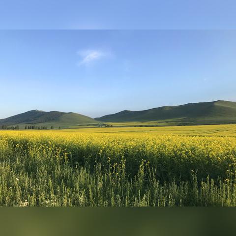 长春市哪里有七彩谷饭店