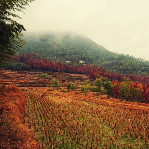 无锡市哪里打工人多些