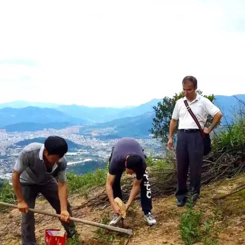 山东大学对比厦门大学的相关长尾关键词有哪些