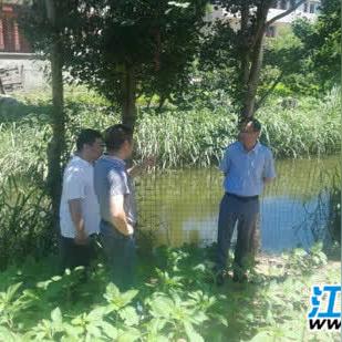 南通市哪里小作坊多