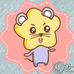 生肖鼠运程如何查运势呢(生肖鼠运程如何查运势呢女生)