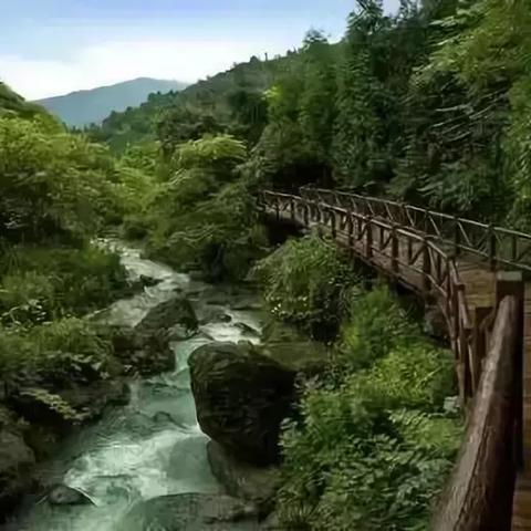 2025.11.14成都今日气温变化情况