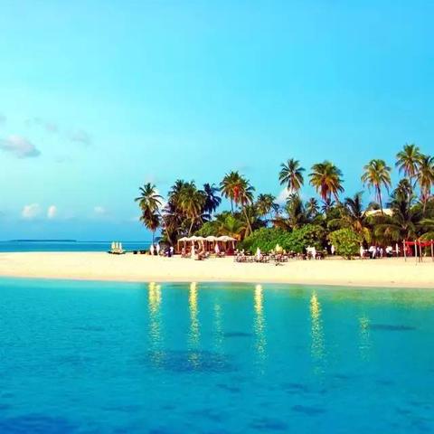 伊甸园官方网站入口（探索伊甸园，官方网站入口指南）