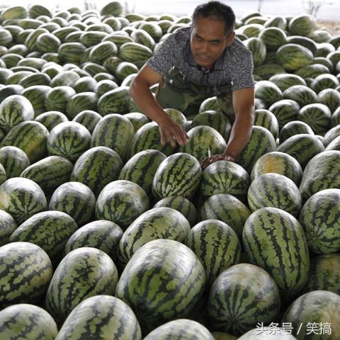 周口市俏码头直播间的长尾关键词有哪些