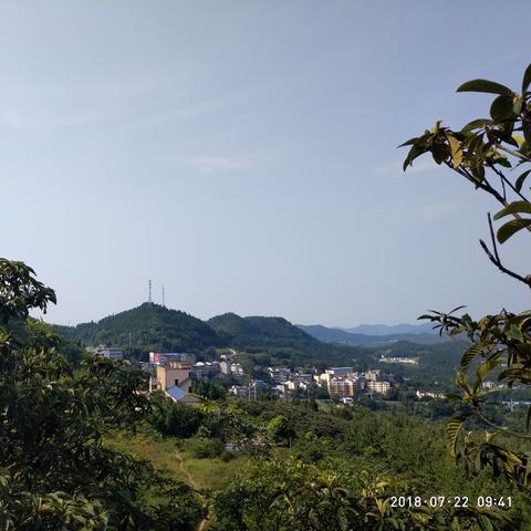 东莞市新河居委会在哪里