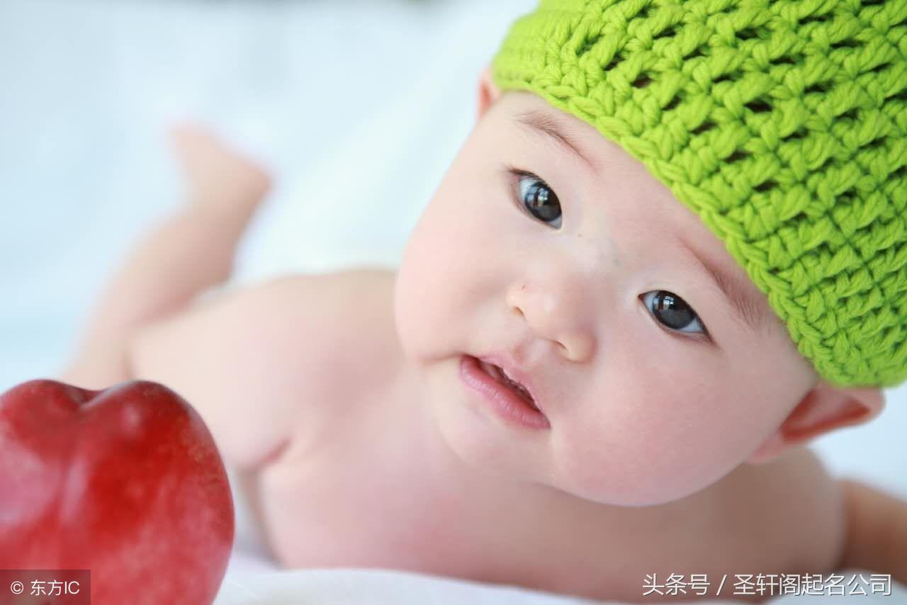 猪宝宝起名宜用念什么（QQ名字取什么名字最好）