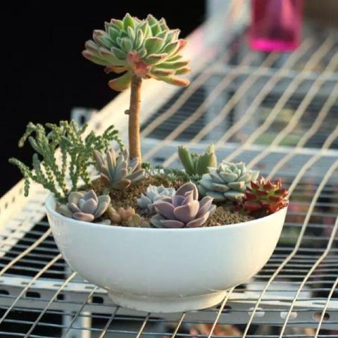 台风多发在什么样的季节