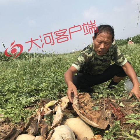 广东佛山市杨岗案的长尾关键词有哪些