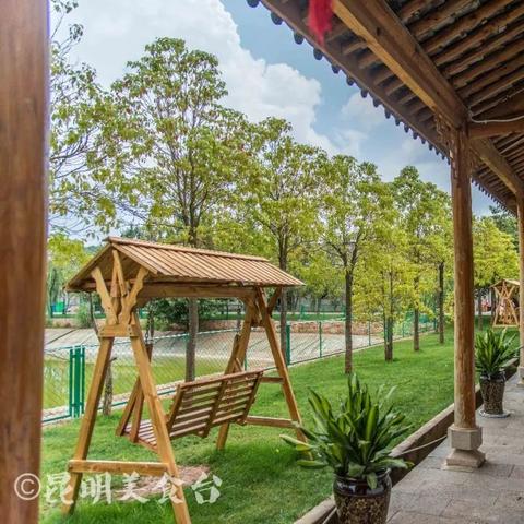 昆明市山庄林木面积多少