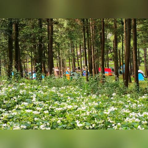 涪陵天气预报一周天气的长尾关键词有哪些