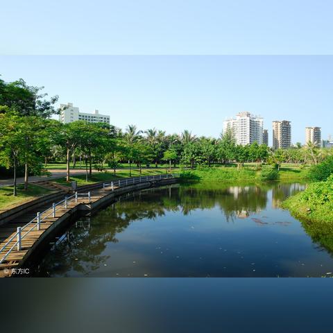 广州人煲汤，甲鱼汤做法？