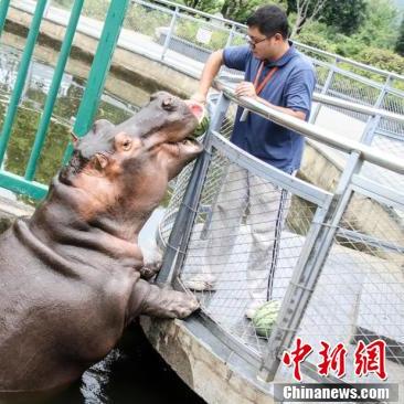 无锡市有动物园吗在哪里