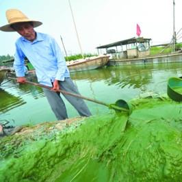 无锡市哪里卖油漆便宜点