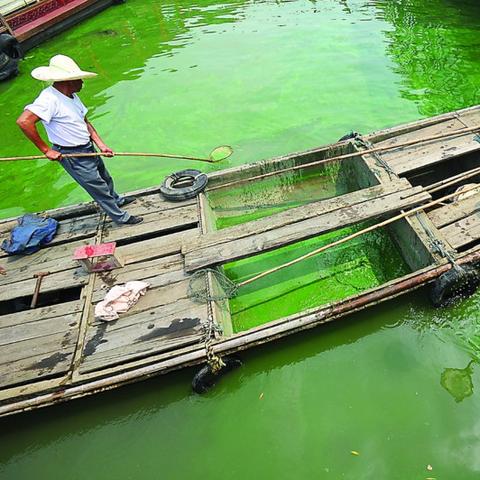 无锡市儿童医院过敏的长尾关键词有哪些