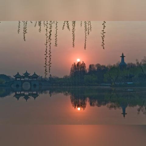 南通盛发育园长尾关键词有什么